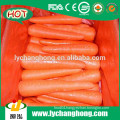 Fresh Carrot Supplier/China Fresh Carrot